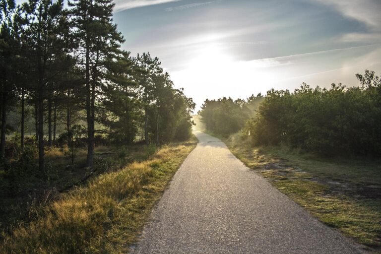 bike path, morning sunshine, ameland, bike path, bike path, bike path, bike path, bike path, ameland, ameland
